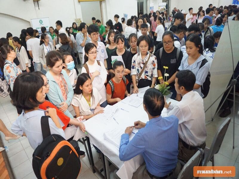 Bản Tin Việc Làm Đà Nẵng: Mạnh Mẽ Đón Đầu Thị Trường 3 Sau Dịch, Nhu Cầu Tìm Kiếm Việc Làm Tăng Lên Nhanh Chóng