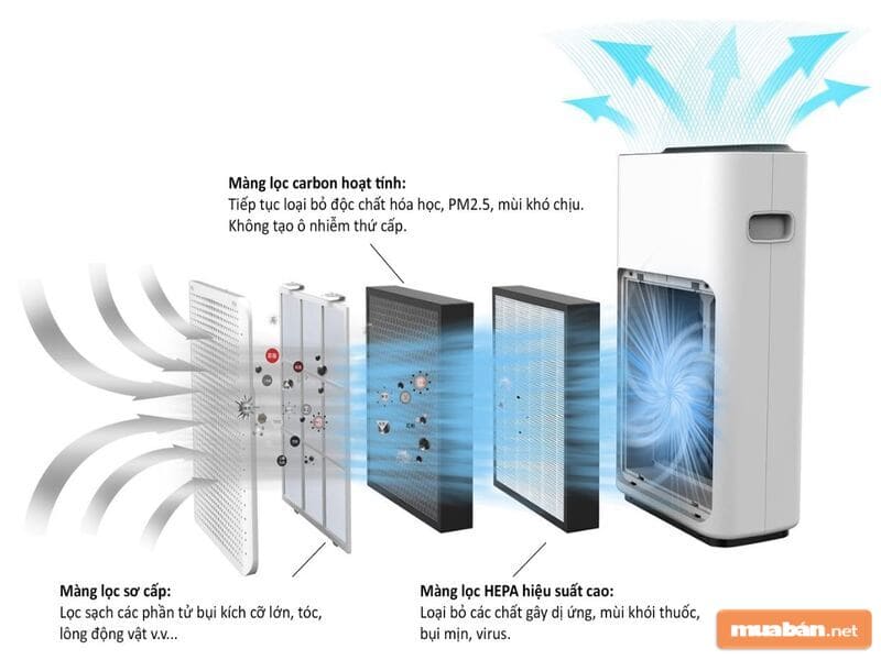 Nó có cơ chế hoạt động vô cùng đặc biệt