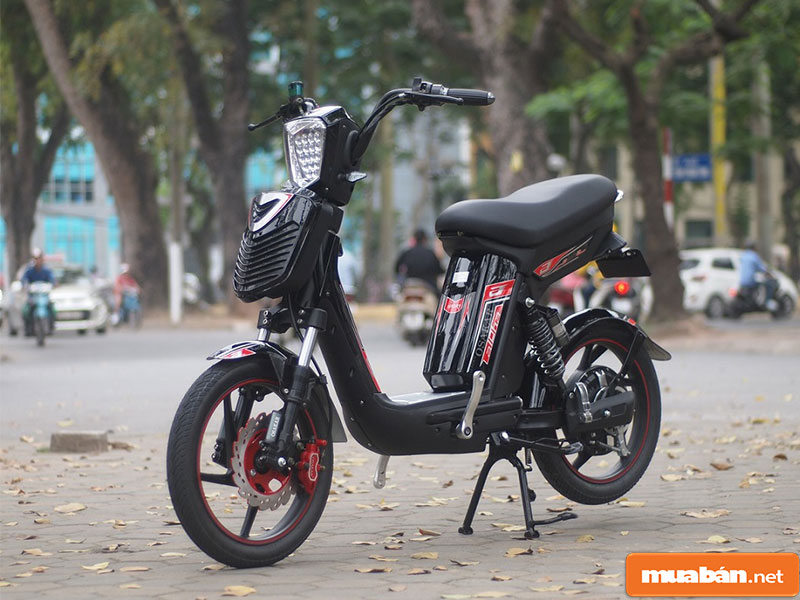 Xe Đạp Điện Giá Rẻ: Các Dòng Xe Chính Hãng Giá Tốt 11 Xe Đạp Điện Giá Rẻ 011