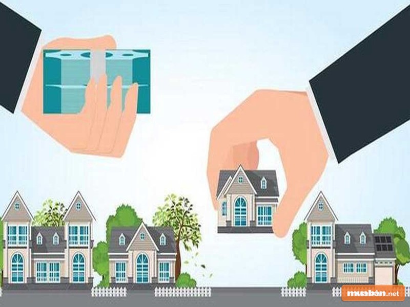 Hãy cùng Cẩm Nang Mua Bán lựa chọn đất Long An tốt nhất nhé