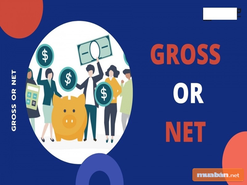 Lương Gross Là Gì? Chi Tiết Về Tiền Lương Nhân Viên 2 Lương Gross Và Lương Net Là Hai Hình Thức Trả Lương Phổ Biến Hiện Nay