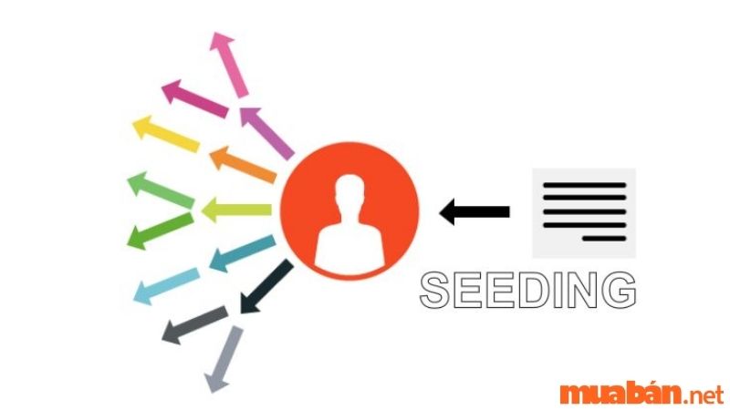 Theo mô hình AISAS mục tiêu của Seeding là gì