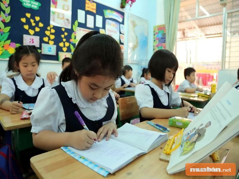 Đơn Xin Chuyển Trường: Vai Trò, Cách Viết Mới Nhất 7 Hãy Chú Ý Đến Đơn Xin Chuyển Trường Để Đảm Bảo Bé Có Được Môi Trường Học Tập Tốt Nhất