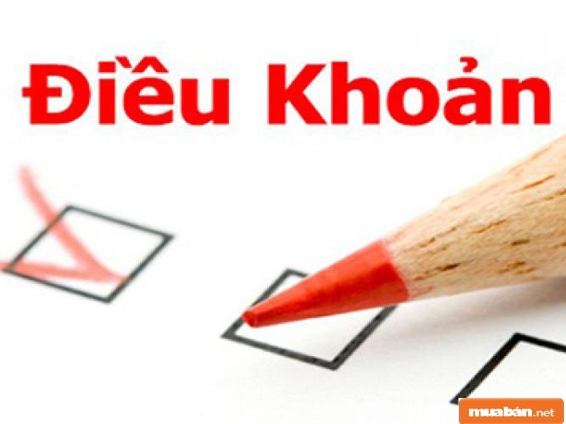 Lập Hợp Đồng Vay Tiền Cần Đảm Bảo Những Yếu Tố Nào? 5 Hợp Đồng Vay Cần Đảm Bảo Những Điều Khoản Nhất Định