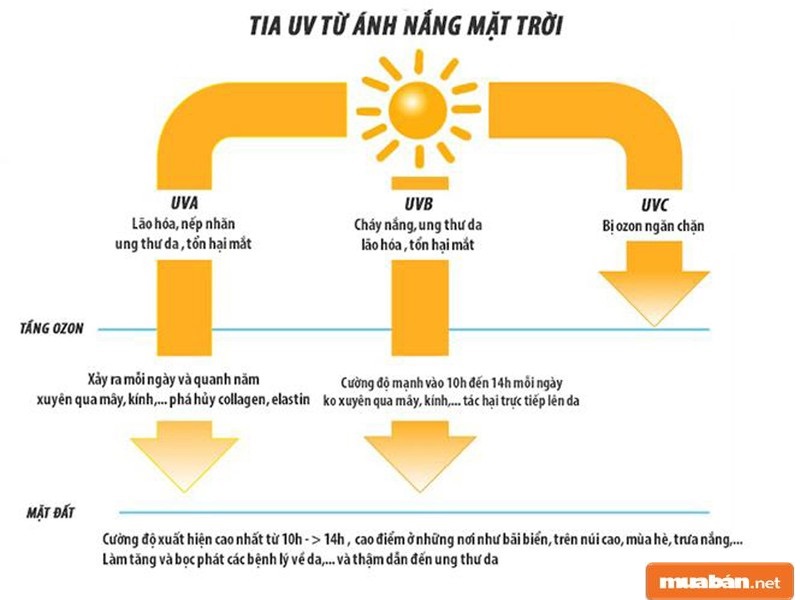 Kem Chống Nắng Vật Lý Và Hóa Học Khác Nhau Như Thế Nào? 3 Tia Uv Từ Ánh Nắng Mặt Trời Gây Nhiều Tác Hại Đến Cho Làn Da