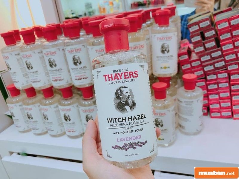 Toner Là Gì? Sản Phẩm Này Có Thật Sự Cần Cho Da Không? 5 Nước Hoa Hồng Thayer Hương Lavender