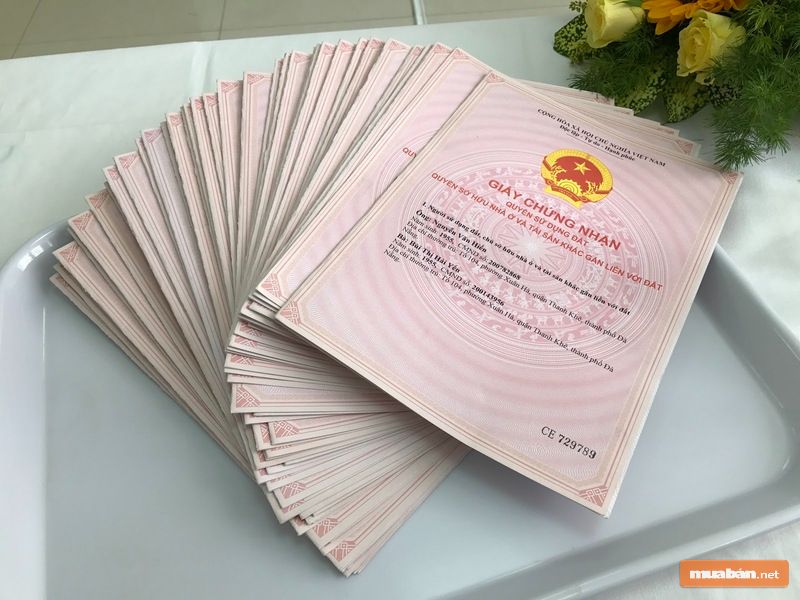 Đấu Giá Đất: Cơ Hội Mua Bất Động Sản Giá Tốt 2021 4 Tính Pháp Lý Của Đất Đấu Giá Rất Rõ Ràng