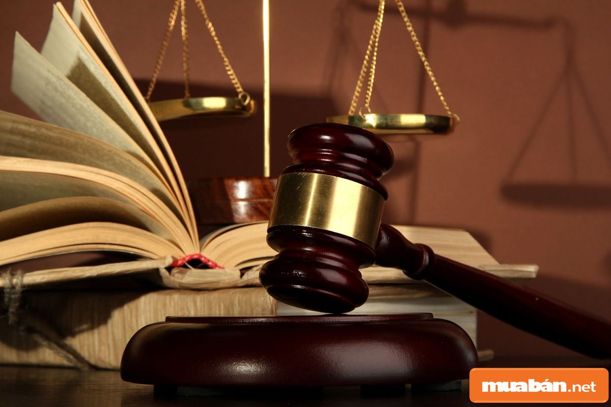 Đấu Giá Quyền Sử Dụng Đất Và 4 Vai Trò Trong Xã Hội! 8 Đấu Giá Quyền Sử Dụng Đất