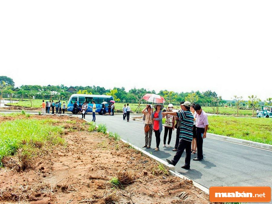 Nhu cầu tìm mua đất tăng nên sẽ có nhiều chiêu trò lừa đảo tinh vi hơn nhằm lấy tiền cọc.