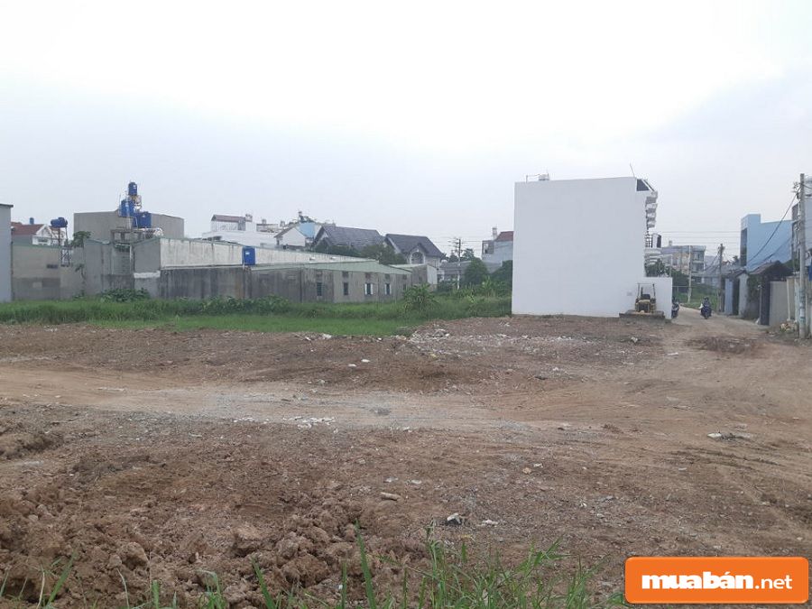 Kinh nghiệm mua đất nền