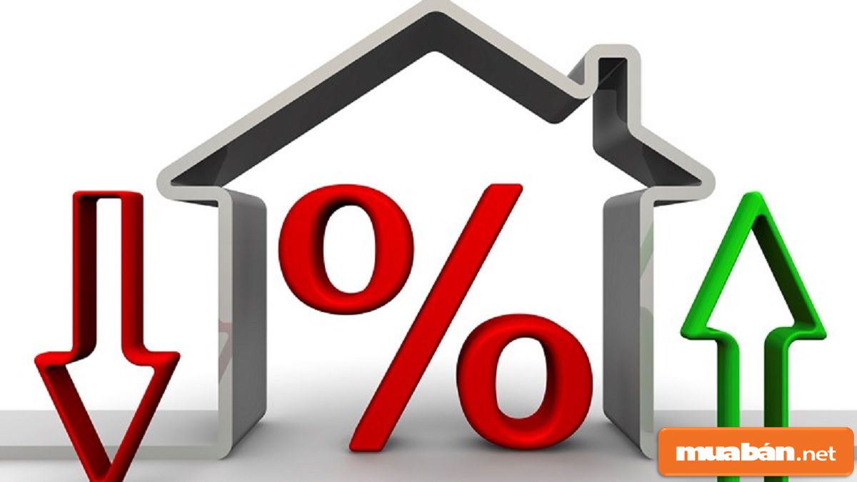 Trước khi vay, bạn cần để ý đến vấn đề lãi suất và các quy định thay đổi cho những năm về sau.