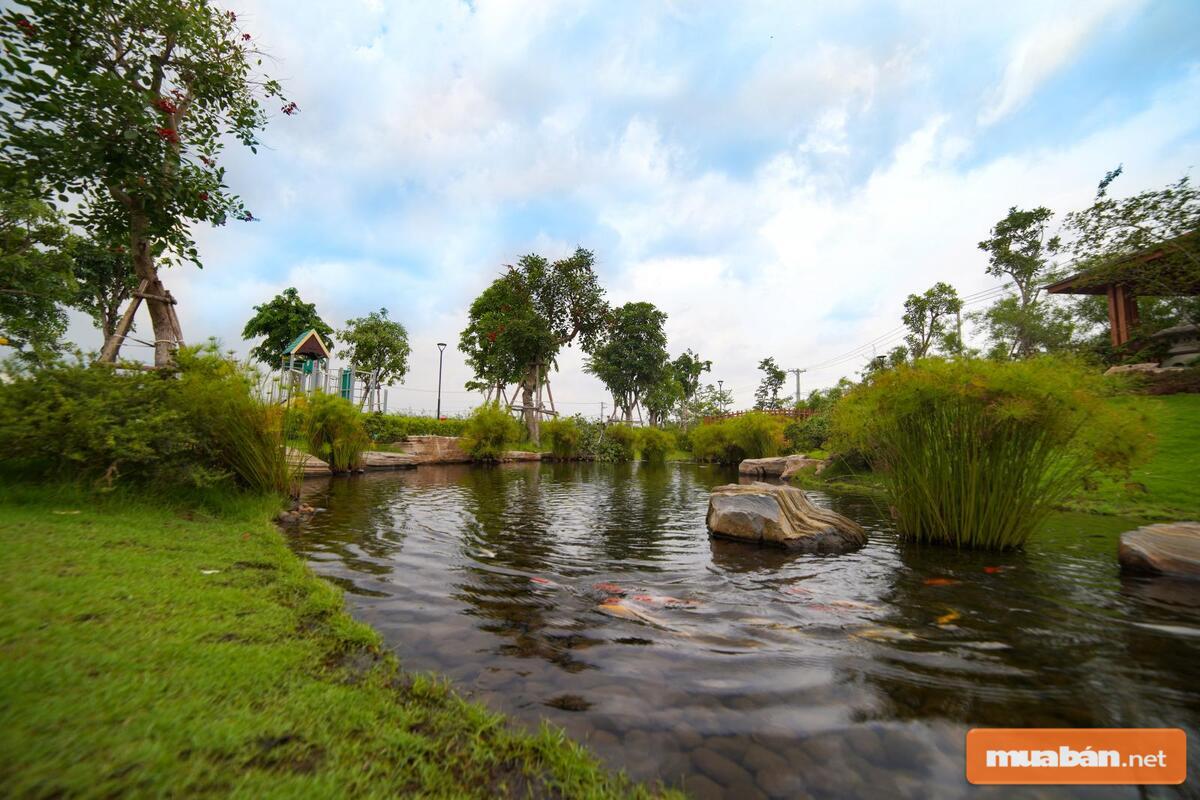 Bản Đồ Quy Hoạch Bình Chánh Và Tiềm Năng Đầu Tư Năm 2021 5 Mật Độ Cây Xanh Lớn Sẽ Giúp Môi Trường Sống Của Huyện Bình Chánh Trở Nên Tuyệt Vời Hơn