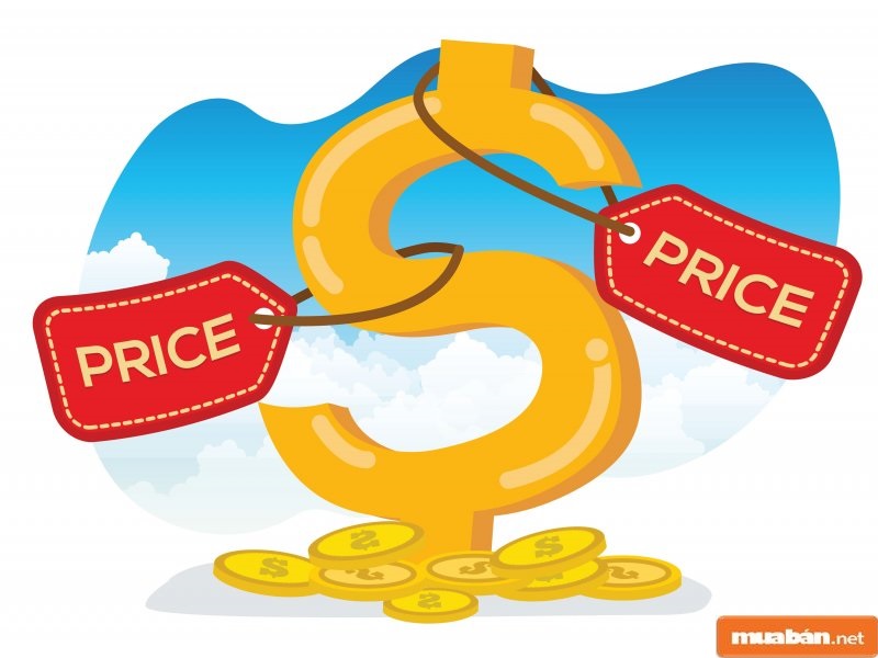 Đấu Giá Đất Là Gì? Những Điều Cần Biết Khi Đấu Giá Đất 5 Giá Khởi Điểm Được Xác Định Trên Những Nguyên Tắc Nhất Định