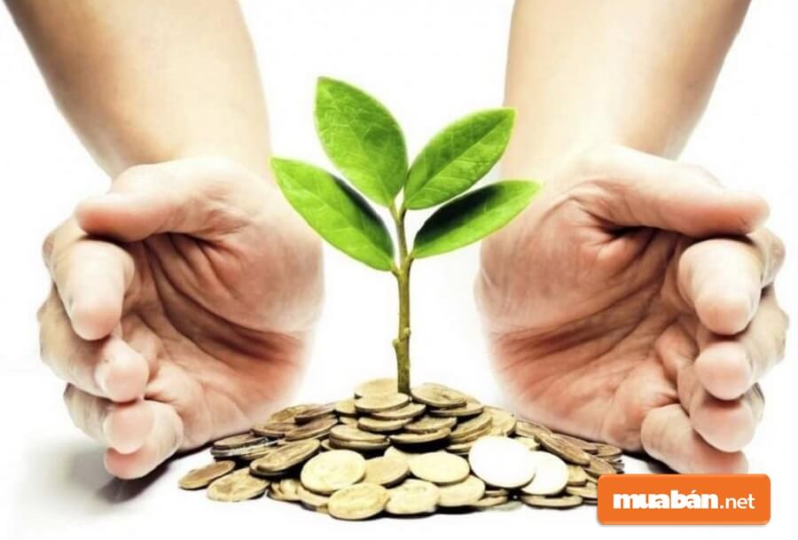 Khởi Nghiệp Nông Nghiệp: Những Điều Nên Biết Trước Khi Bắt Đầu 6 Ột Nhà Starup Thông Minh Phải Biết Tận Dụng Những Nguồn Vốn Để Phát Triển Dự Án Của Mình.