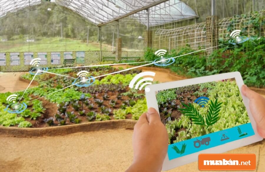 Khởi Nghiệp Nông Nghiệp: Những Điều Nên Biết Trước Khi Bắt Đầu 4 Bên Cạnh Đó Cũng Tồn Tại Những Khó Khăn Cho Các Đơn Vị Muốn Starup Lĩnh Vực Này.