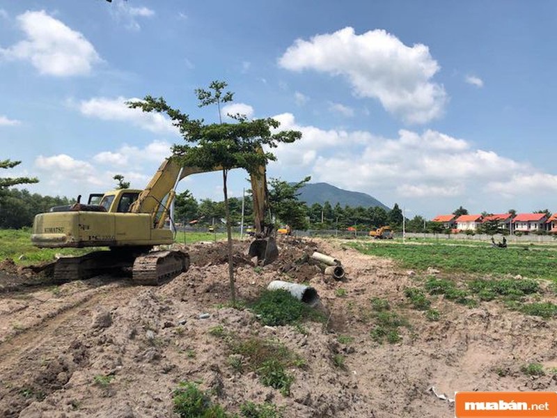 Đất dự án đang là loại hình đầu tư được nhiều người quan tâm hiện nay