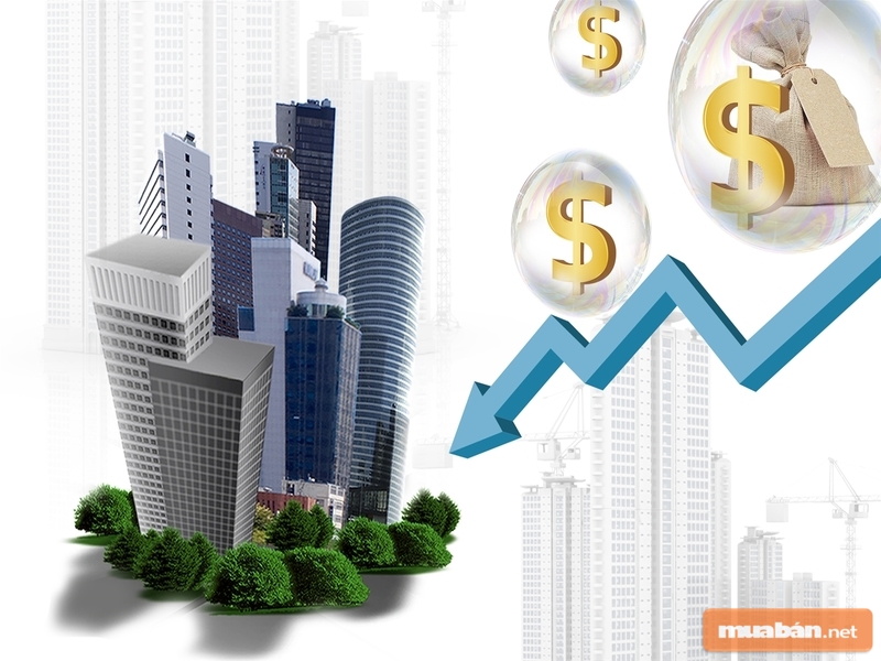Hãy xem xét điều kiện tài chính thật cẩn thận