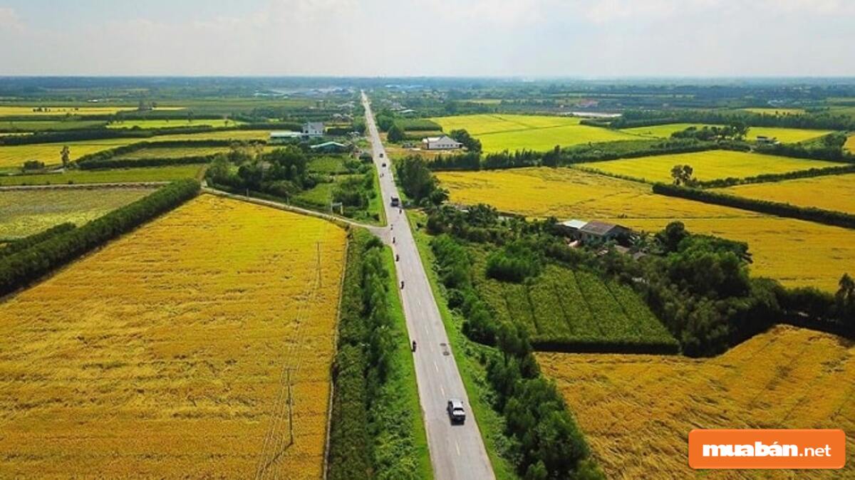 1Ha Bằng Bao Nhiêu M2? Muaban.net là cái tên uy tín trong lĩnh vực bất động sản