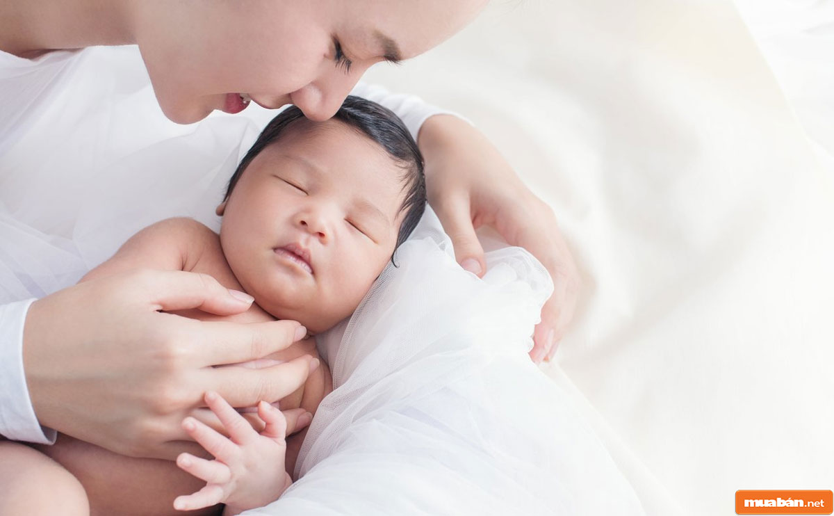 Hồ sơ hưởng chế độ thai sản 04