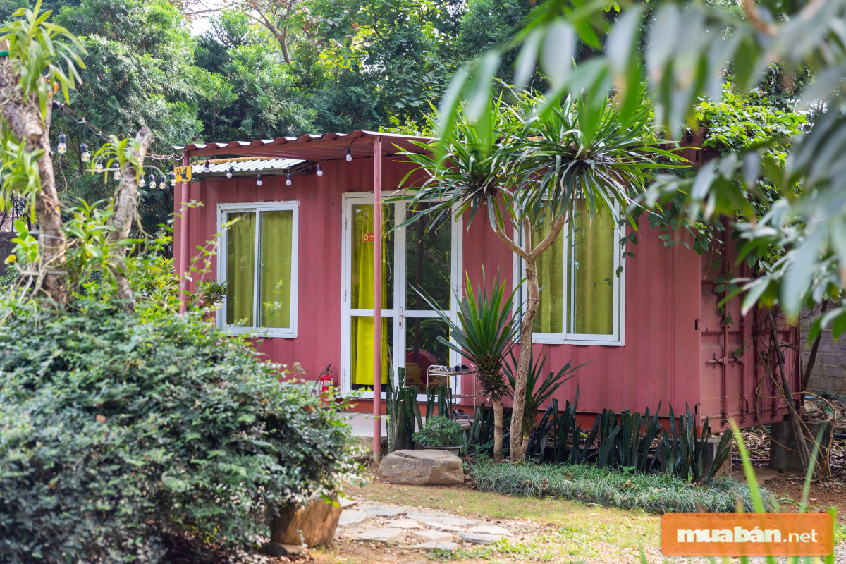 Căn nhà container nhỏ nhắn nhưng vô cùng xinh xắn