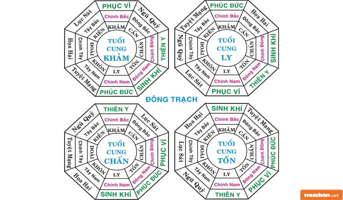 Xác định hướng phục vị thích hợp sẽ căn cứ trên năm sinh âm lịch