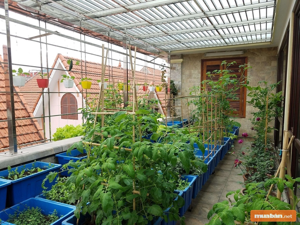 Những mô hình này đặc biệt được yêu thích trong thời gian gần đây