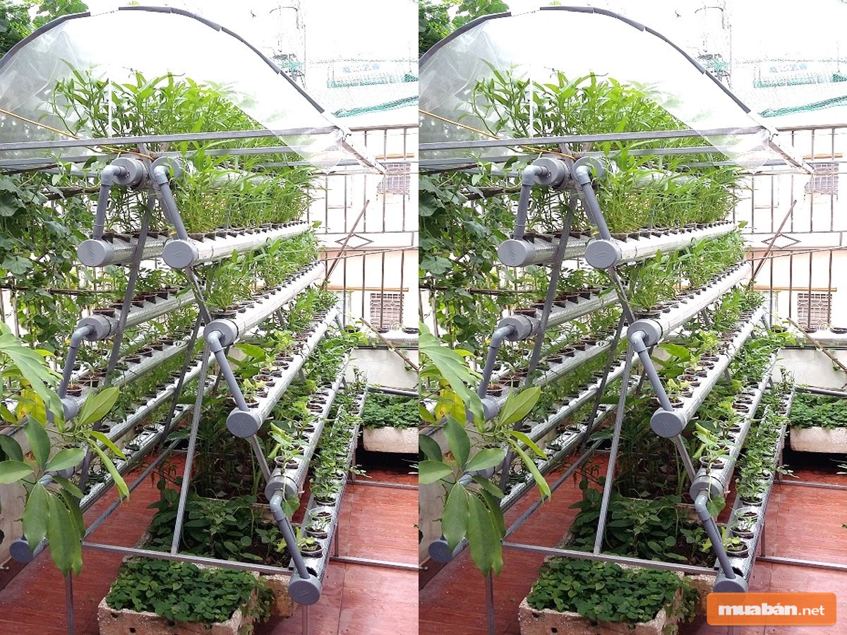 Hy vọng bạn đã có được những thông tin cần thiết với bài viết này của Muaban.net