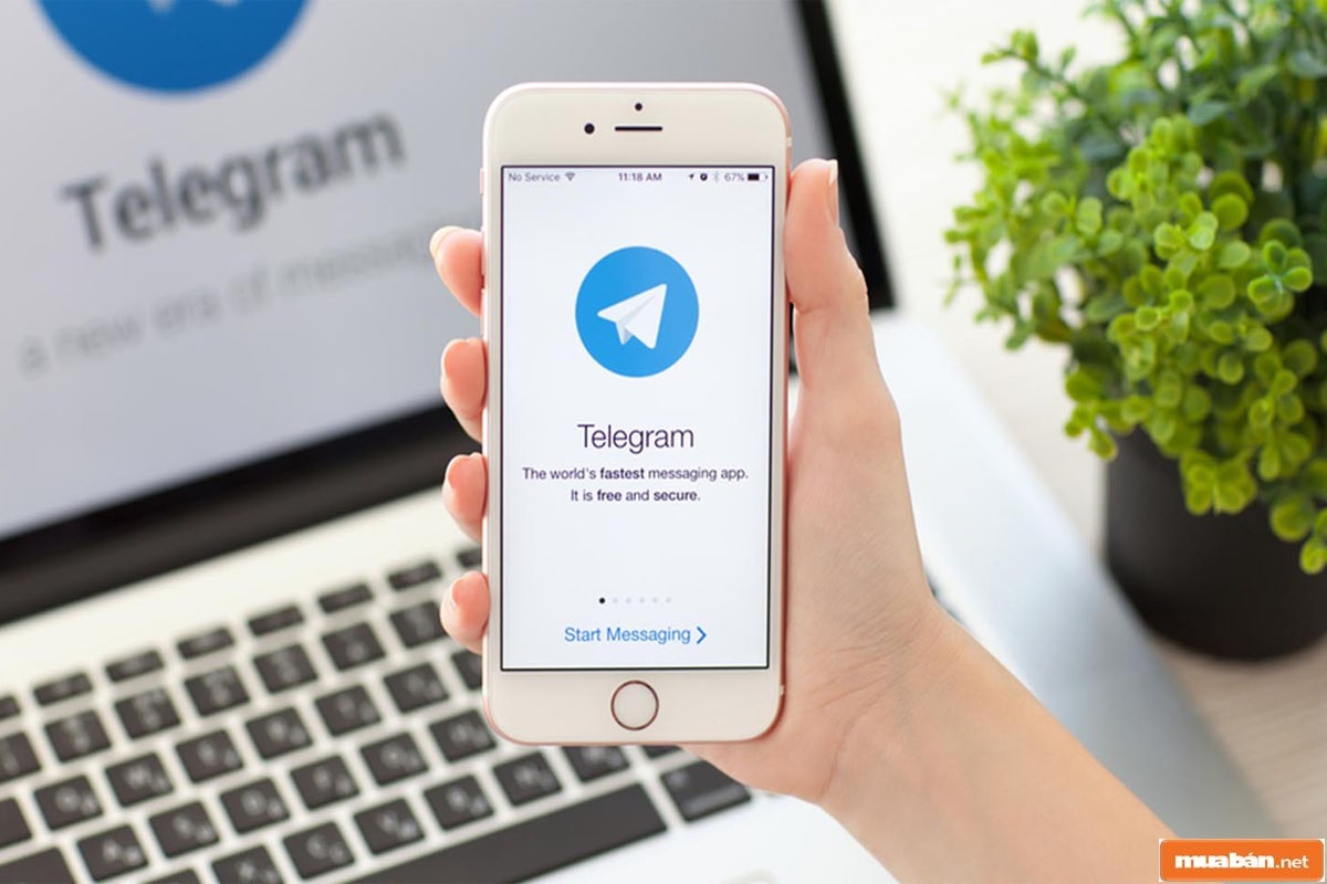 Telegram là gì?