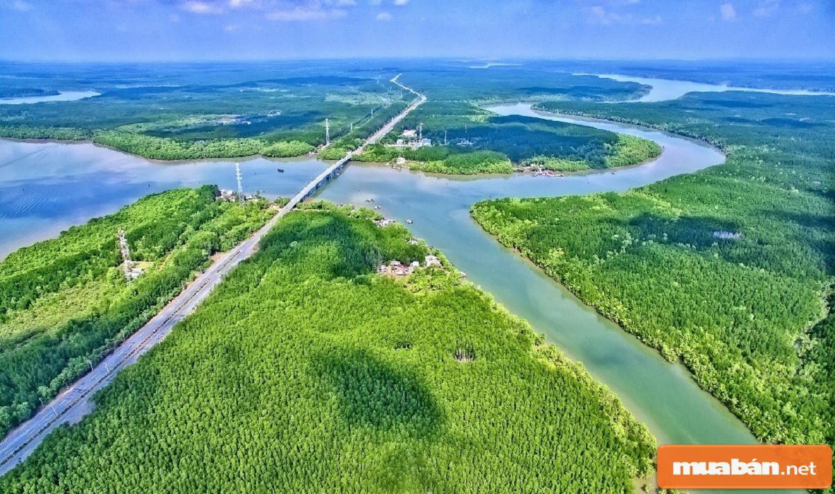 Đất Cần Giờ