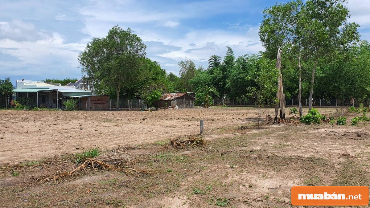 Đất Cần Giờ