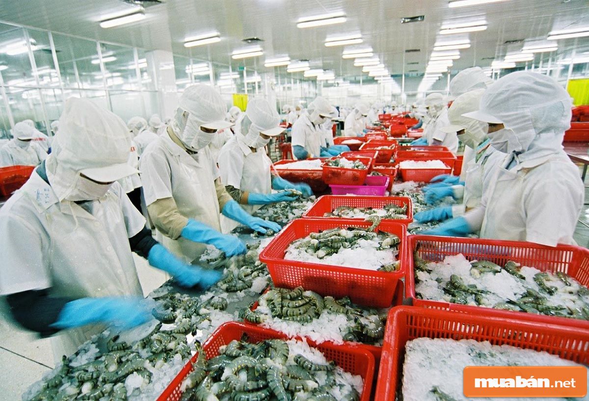 Việc làm thủy sản