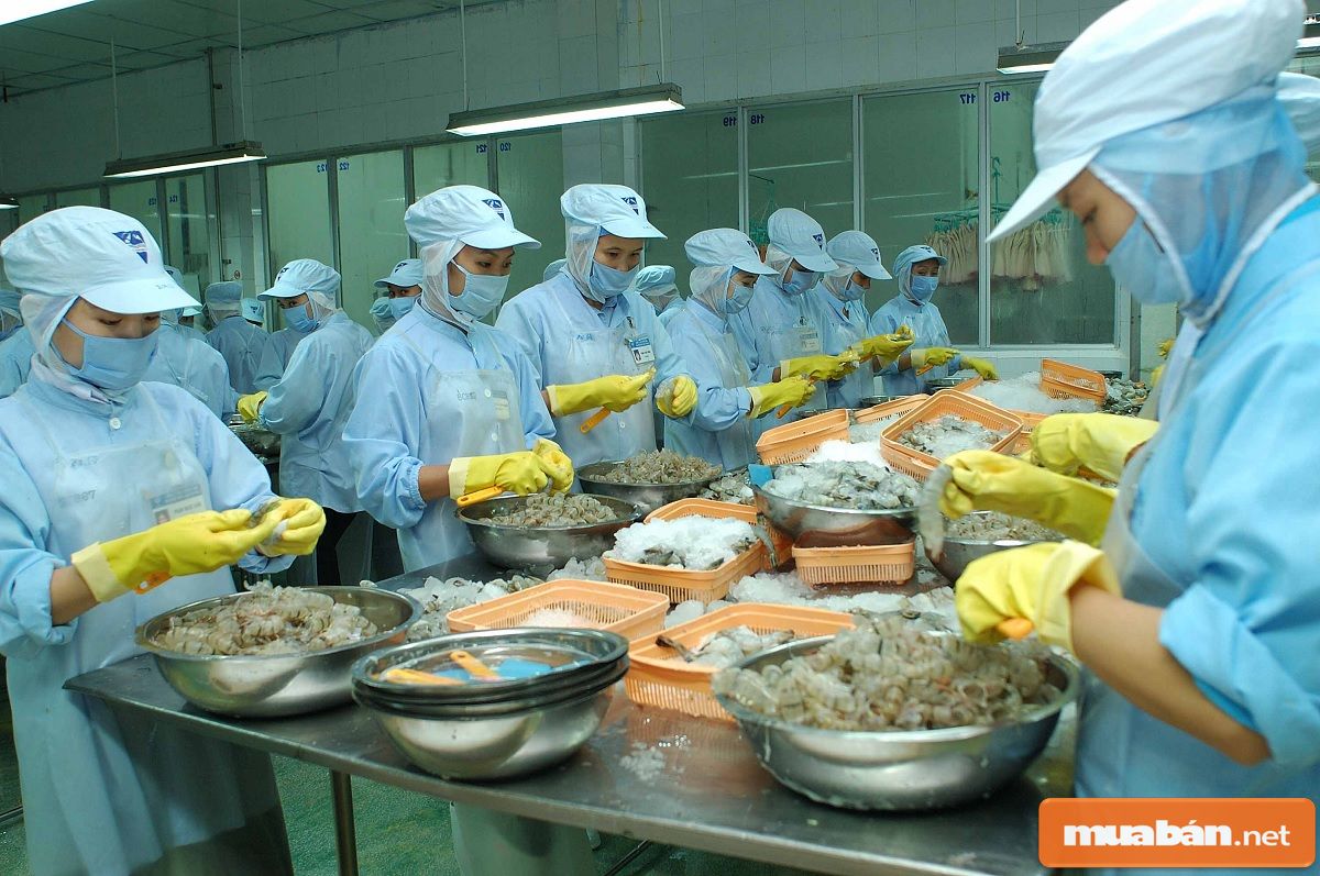 Việc làm thủy sản