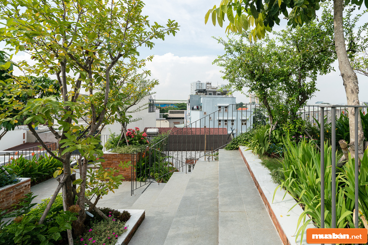 sân thượng đẹp 08