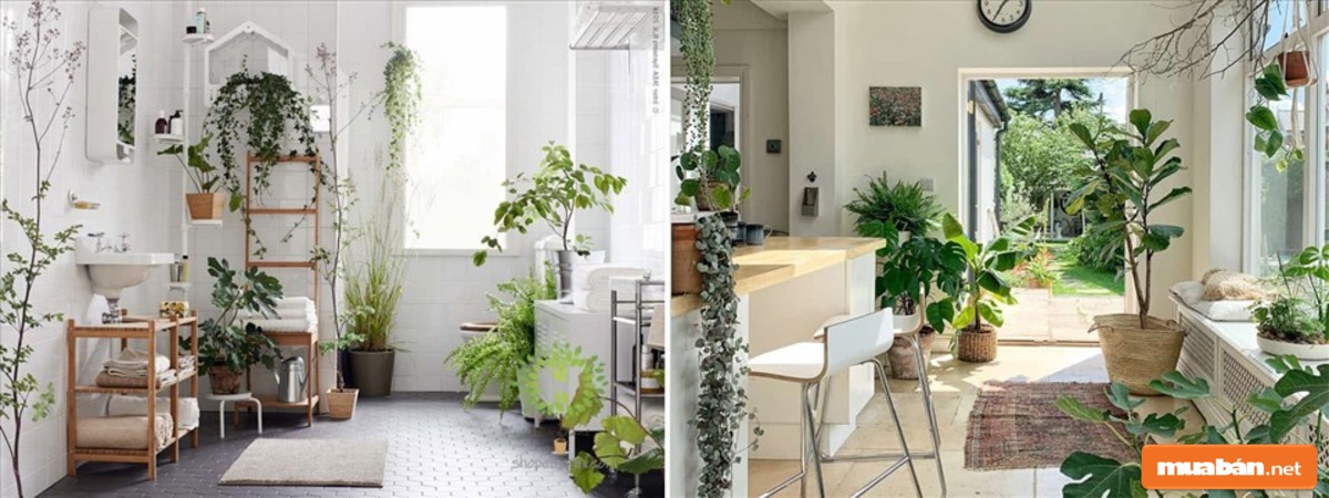 Chỉ cần giữ không gian sạch sẽ, căn nhà của bạn đã tuyệt vời hơn rất nhiều