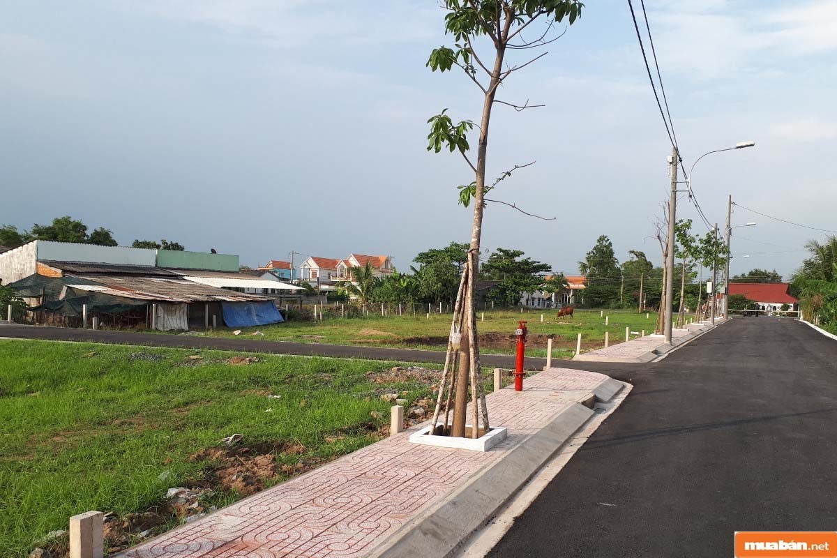Cần cập nhật giá cả thị trường bất động sản trước khi đưa ra mức giá bán tương ứng, đảm bảo đem lại lợi nhuận phù hợp