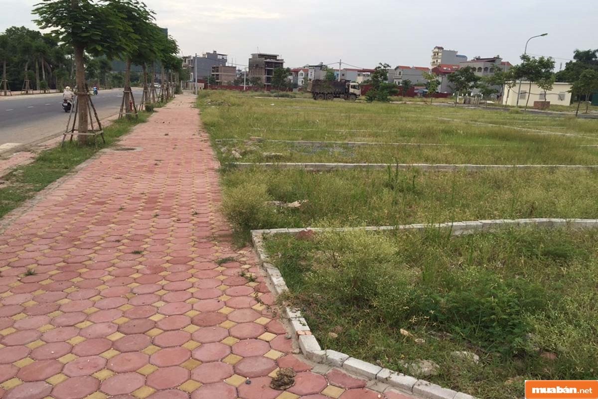 Các công ty môi giới bất động sản cũng là lựa chọn để bạn cân nhắc. Tuy nhiên, cần xác định được uy tín của đơn vị này
