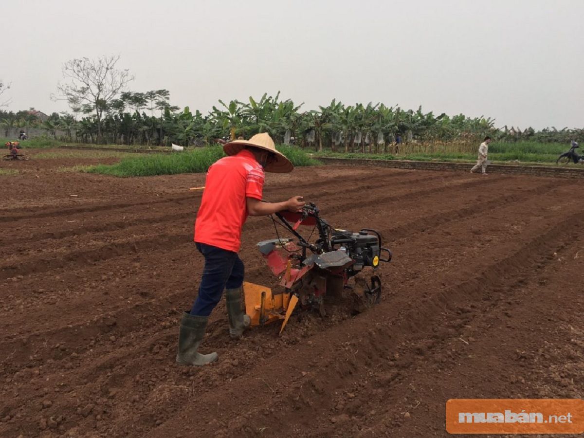 Cải tạo đất