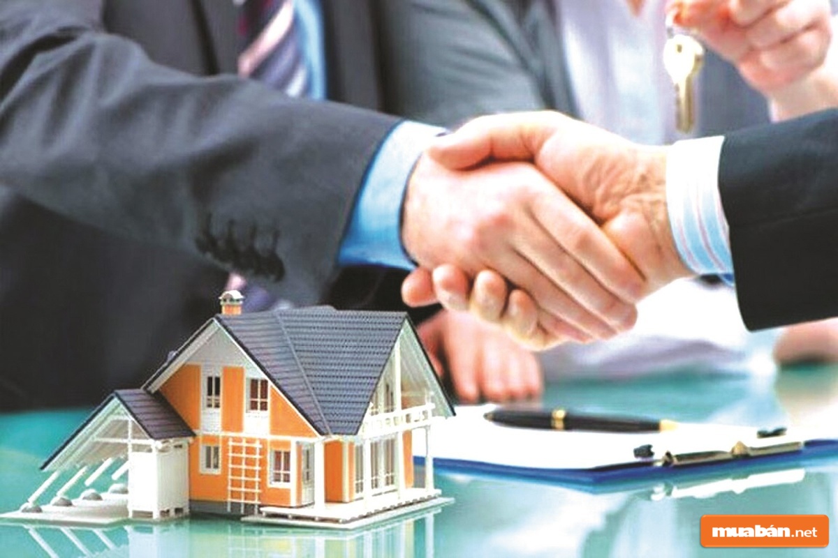Không cần bằng cấp, mọi người cũng có thể bắt đầu với công việc này