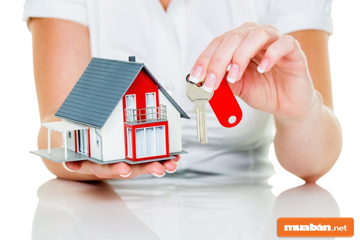 Muaban.net có thể giúp bạn làm việc tốt hơn