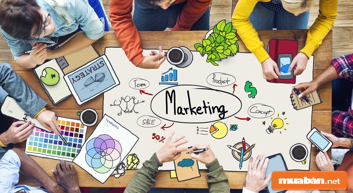 Những chương trình marketing của chúng tôi sẽ giúp bạn "đắt hàng"
