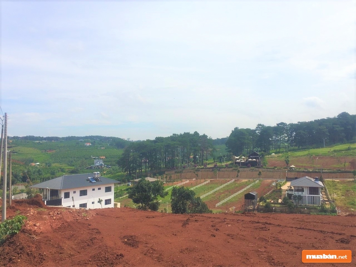 Những tin mua bán nhà đất Bảo Lộc luôn được nhiều người chú ý