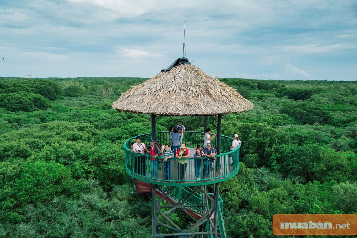 Đất Cần Giờ