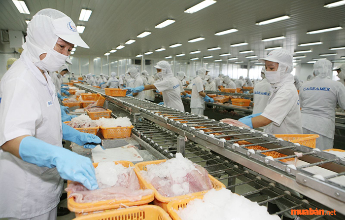 Lao động phổ thông tại Cần Thơ - Nhu cầu, cơ hội cùng những việc làm tốt Việc làm công nhân dây chuyền sản xuất thường không đòi hỏi cao về kinh nghiệm