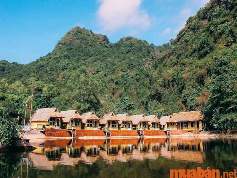 Farmstay – Xu hướng du lịch mới toanh dành cho bạn!