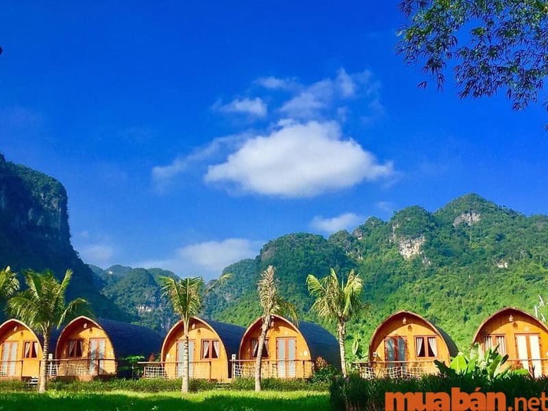 Farmstay – Xu hướng du lịch mới toanh dành cho bạn!