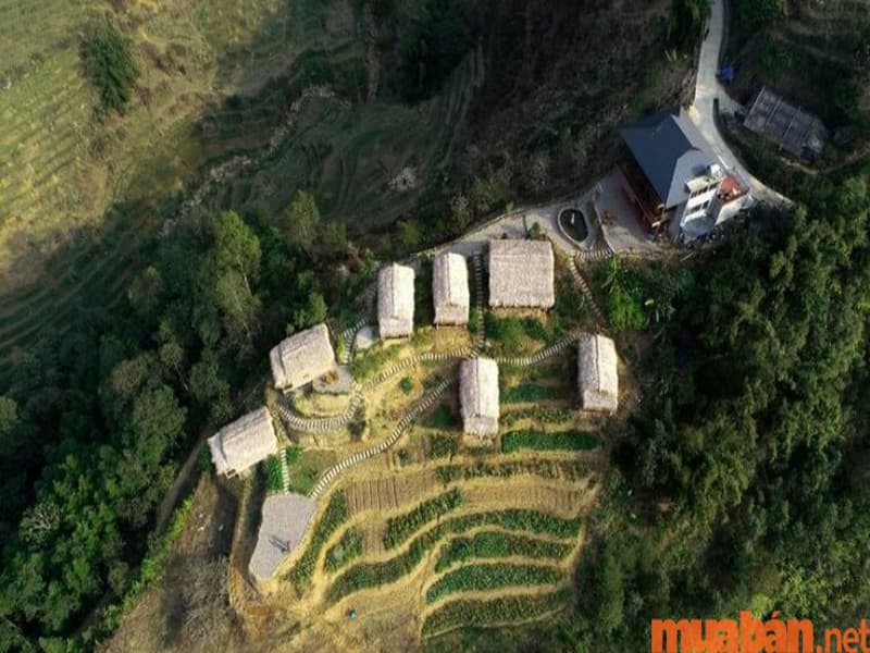 Farmstay – Xu hướng du lịch mới toanh dành cho bạn! Farmstay