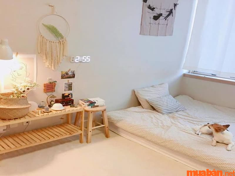 Mách bạn cách trang trí phòng trọ đơn giản nhưng đẹp lung linh