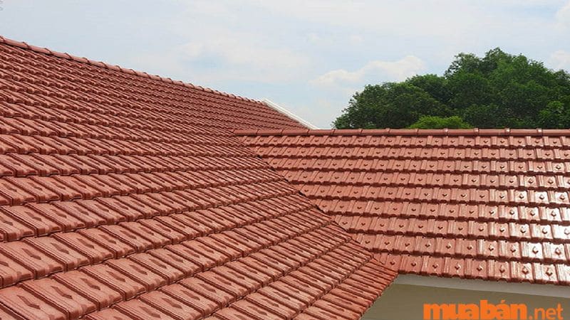 Ngói cũng được ứng dụng vào làm mái che sân thượng.