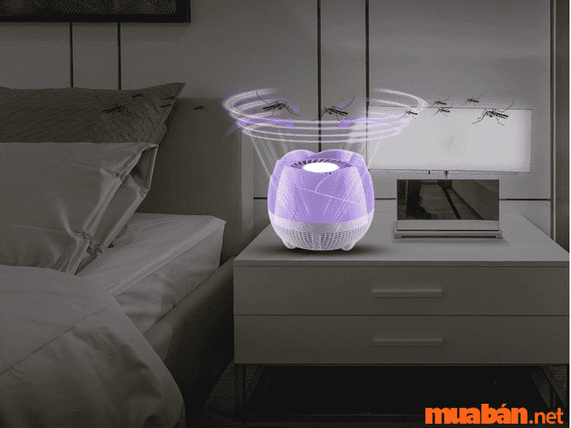 Cách đuổi muỗi - Một loại đèn bắt muỗi đơn giản