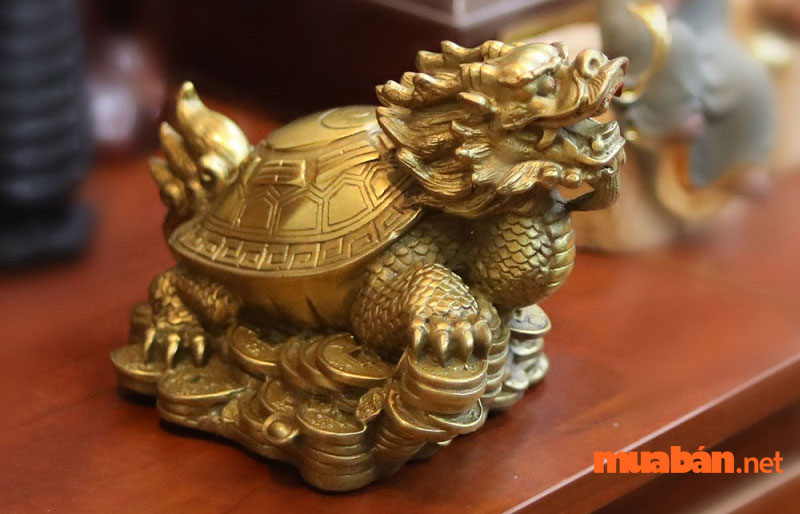 Long quy nên đặt ở những nơi phong thủy tốt, thông thoáng